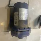 دينمو سمنان اصلي