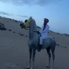 خيل