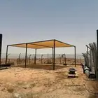 مظلات الئبل مضلت سيارة مظلات حلال مظلة غنم مظلت الئبل