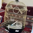 اقفاص طيور