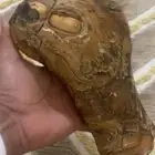 حجر عقيق