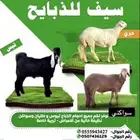 شامل الذبح والتوصيل داخل احياء المدينه المنور