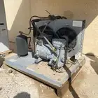 ثلاجة تبريد للورود