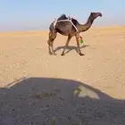 ثنيه