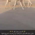 عشرا كفو