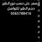 ترويض الطيور