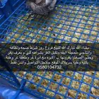 فروخ روز تقبل الغر
