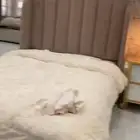 سرير