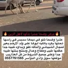 عشرا وضحا بداوه كفو