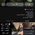 نشر سناب شات