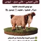 السلام عليكم شرط ذبايح نعيم نجد وعلى الذمه