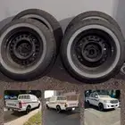 جنوط بكفراتها