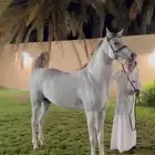 نجران