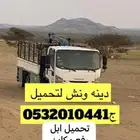 دينه متجه من الجنوب الى ضواحي تبوك