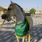 حصان