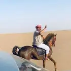 حصان