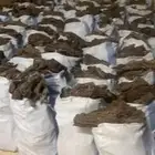 ارطا يابس شرط خياش