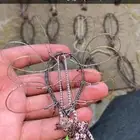 شبك صيد الصقور