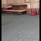 للبيع مجلس بركس