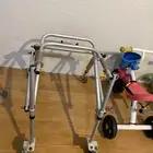 مشاية ذوي احتياجات نوعيه زينه ماشاءالله