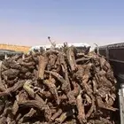 هايلكس مسحه شرط صندوق