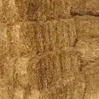 تبن بر