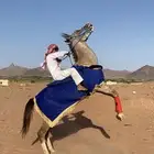 خيل شعبي البيع هادي