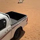 موصل حلال -عفش -ركاب