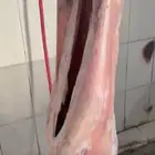سواكن مهجن دبازين ابيض ذيل عريض لحم ابيض شرط