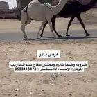 عشرا