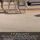 عشرا كفو منتج