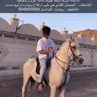حصان حااار