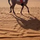 البيع مهر شعبي
