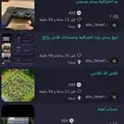 حسابات كلاش اف كلانس وقيور احترافية وبيسي..