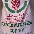 مطلوب بذر برسيم