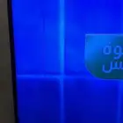 تلفزيون