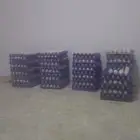 القصيم