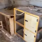 للبيع محاكر صيصان ملسكات جاهزات