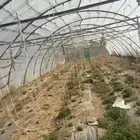 للبيع بيوت محمية العدد 8 بيوت