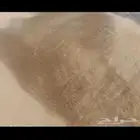 رمل توريد رمل تريلة