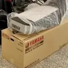 مرتبة بانشي وكالة