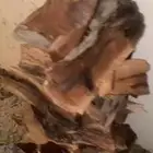 حطب مستورد قرض