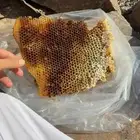 عسل اصلي  جبلي