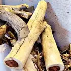 حطب أفريقي مستورد