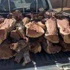 حطب مستورد أفريقي