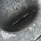 عود هندي رويال قديم