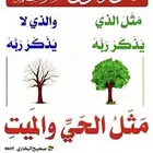 بحث عن تحفيظ رجال   شباب فترة الصباح