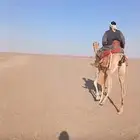 للبيع قعود ركبي
