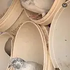 حمام للبيع - الدوادمي نفي