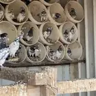للبيع حمام مشكل